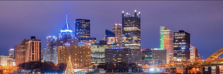 Erica banner