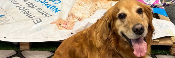 matbui Profile Banner