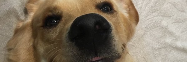 mrdaktirr Profile Banner