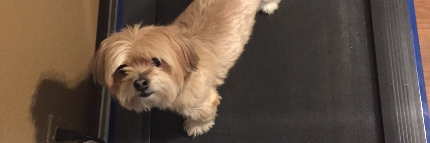 KatyiPup @ translyrics commissions open! banner