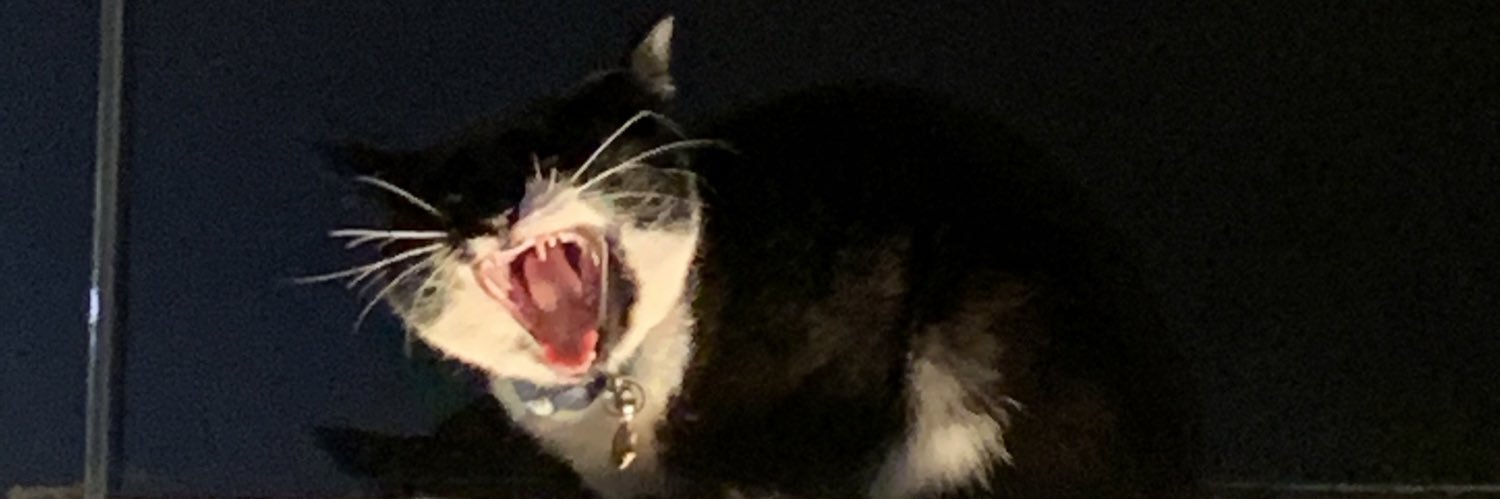 🧹detritus gf banner