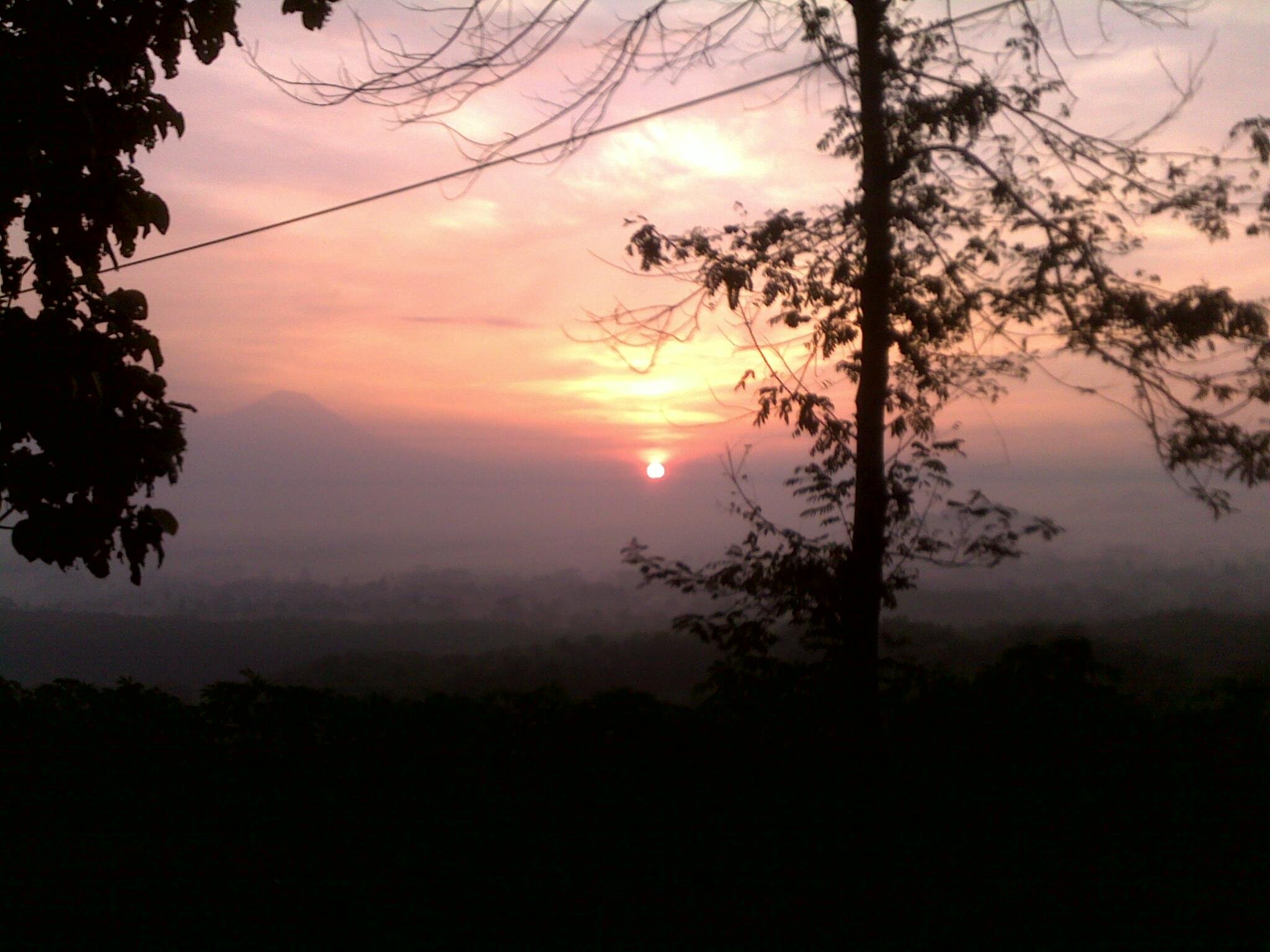 Shenna  banner