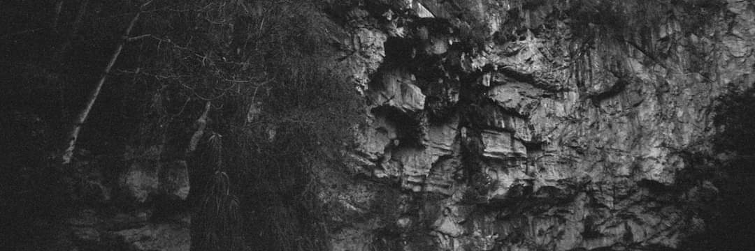 Torvo fraile del templo solitario banner