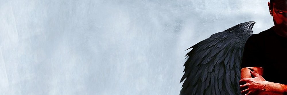 Mario 🇵🇱🇪🇺 banner