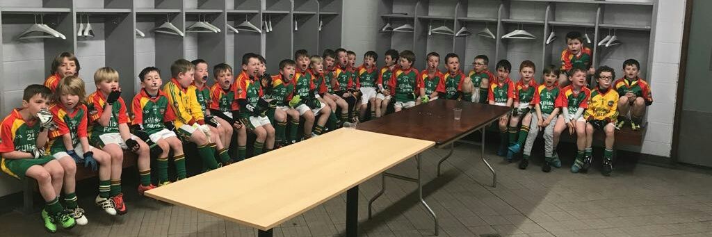 Ballinamere/Durrow GAA, LGFA & Camogie banner