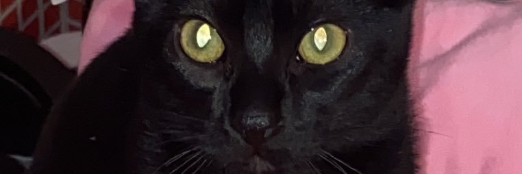 M🦇 banner