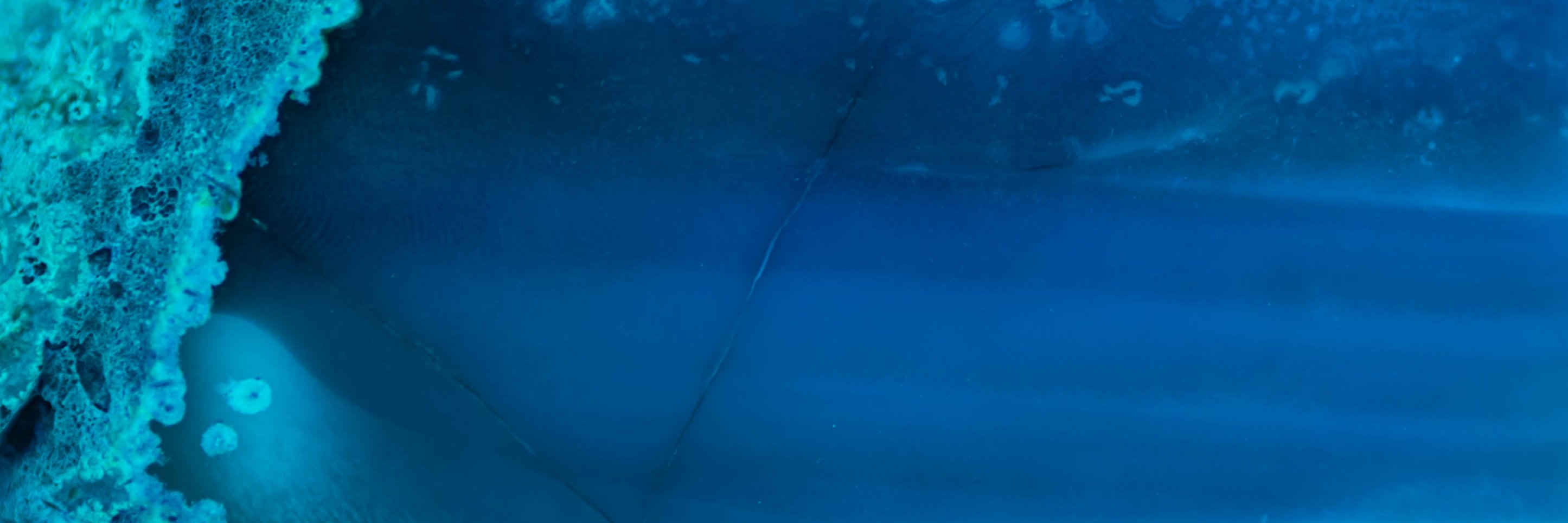 Axate banner