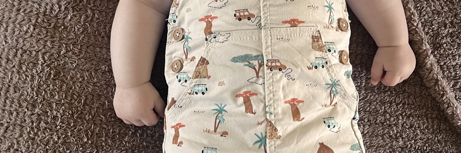 LsLea's profile banner image
