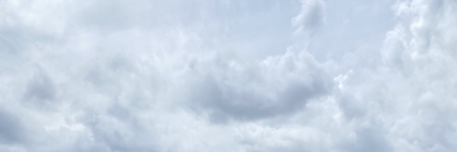 andreabasner's profile banner image