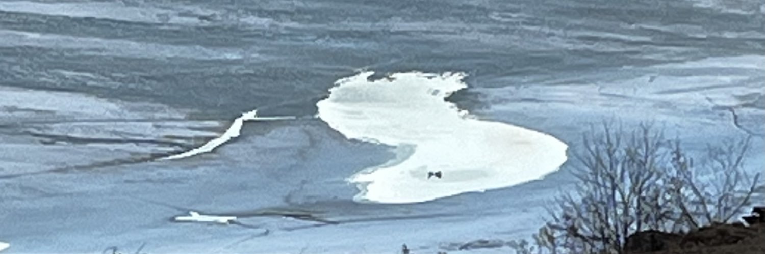 🇨🇦🍁 MrsJess banner