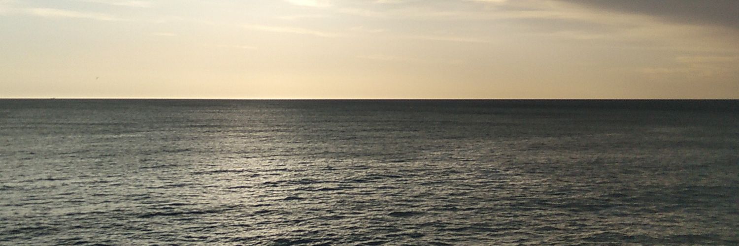 Eduardo A. Tomattis Eraso banner