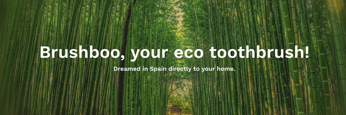 Brushboo banner