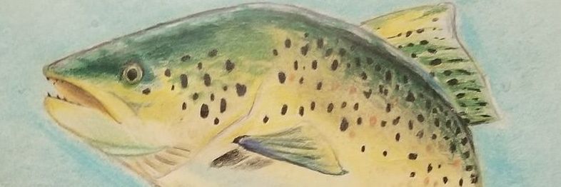 froze_fish's profile banner image