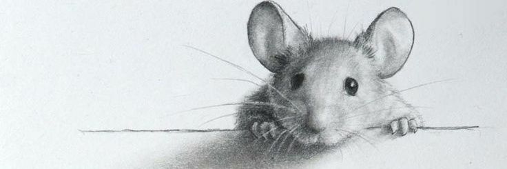 pepitogordillo's profile banner image