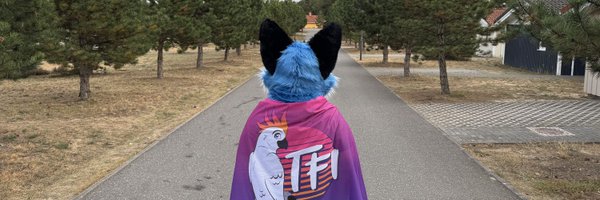 luckybluefox Profile Banner