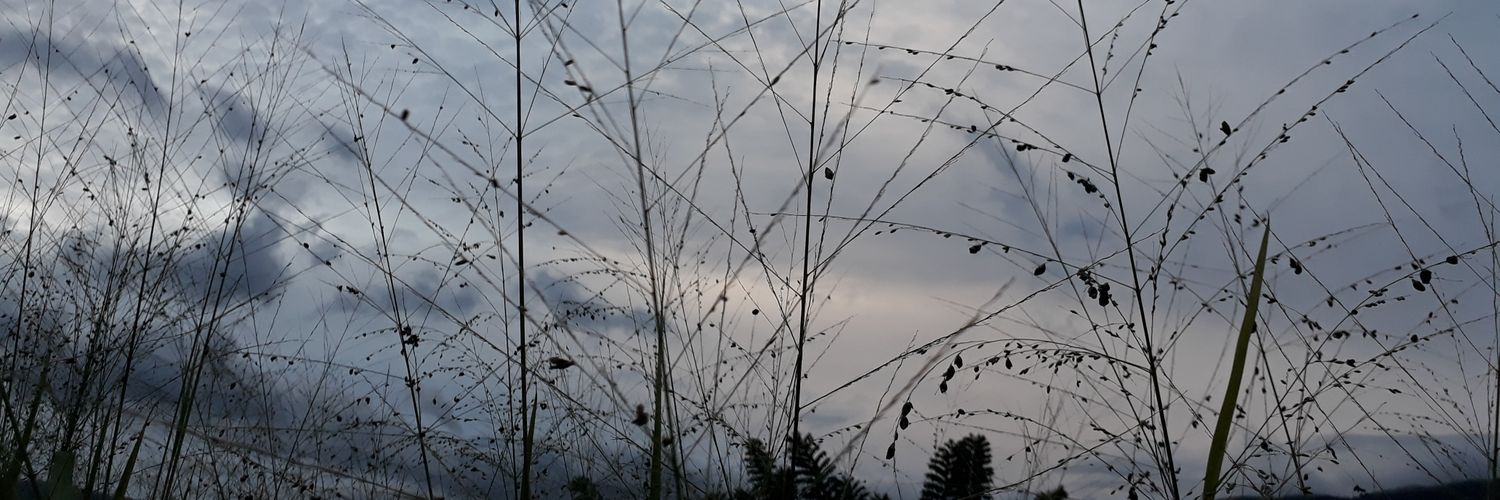 davidaugussto_'s profile banner image