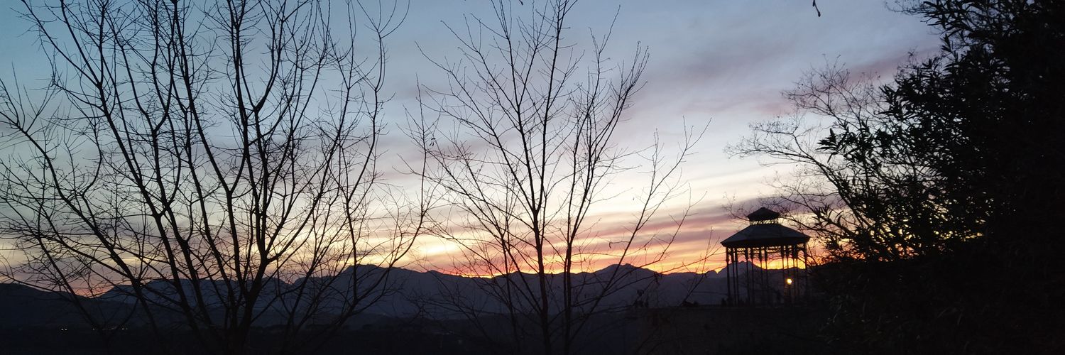 NataliaCaRo97's profile banner image