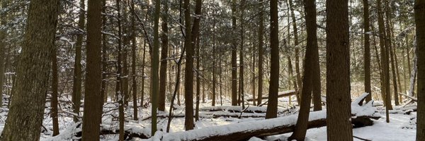 Gerihewitt1 Profile Banner