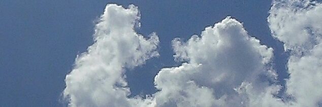 4everahippie's profile banner image