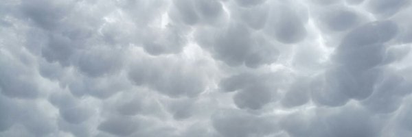 Pauquechu Profile Banner