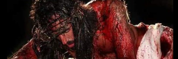 LUCIACASTAO19 Profile Banner