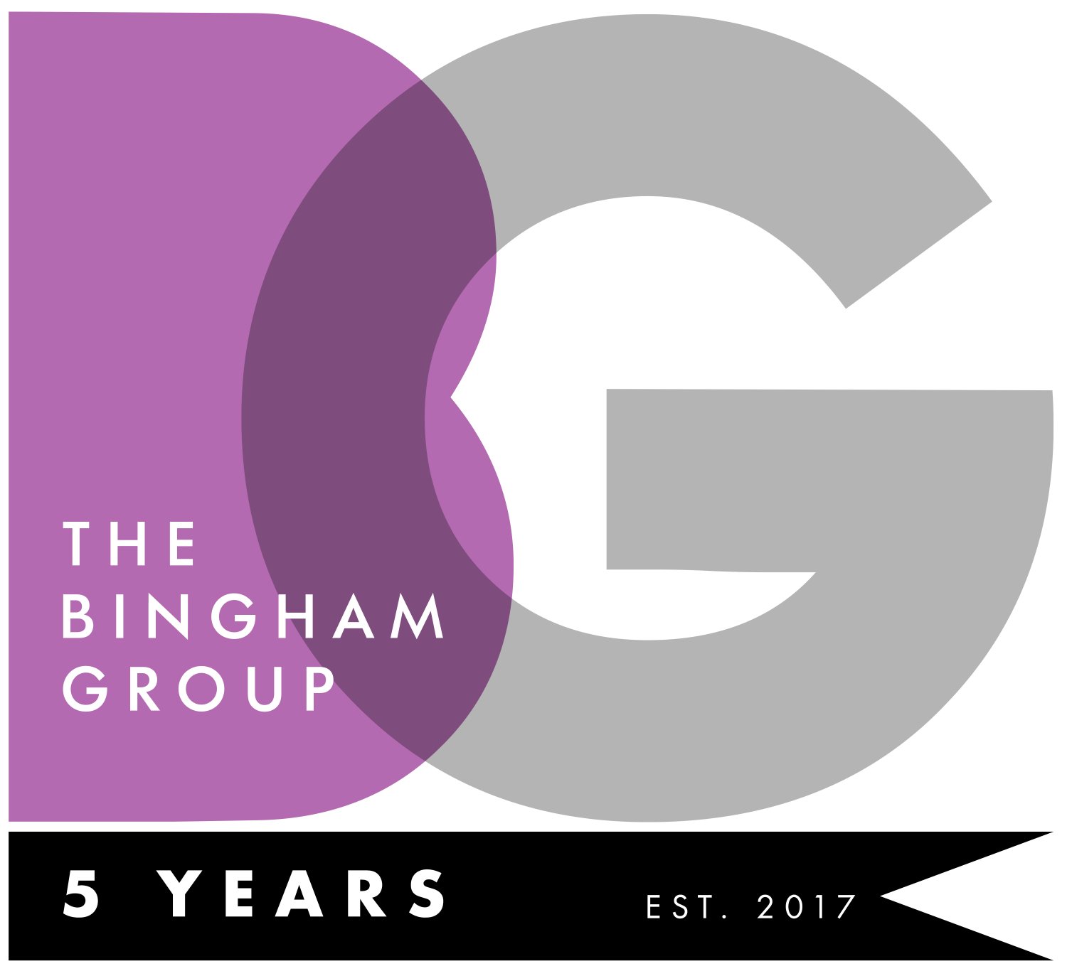 The Bingham Group, LLC banner