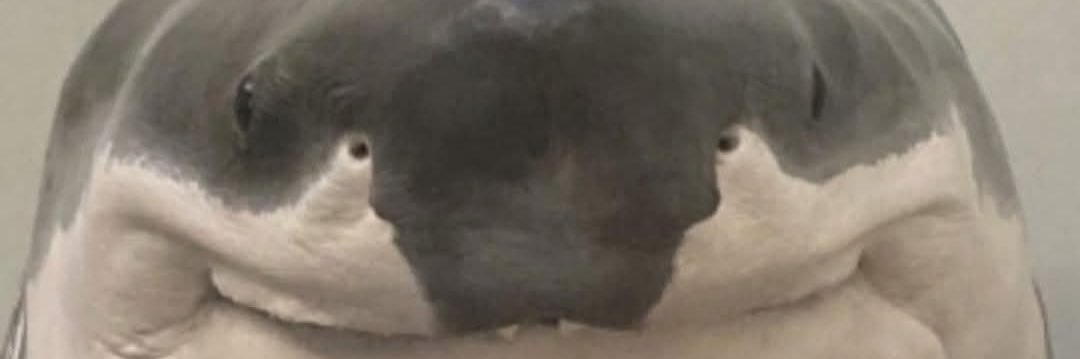 MenjiePoo's profile banner image