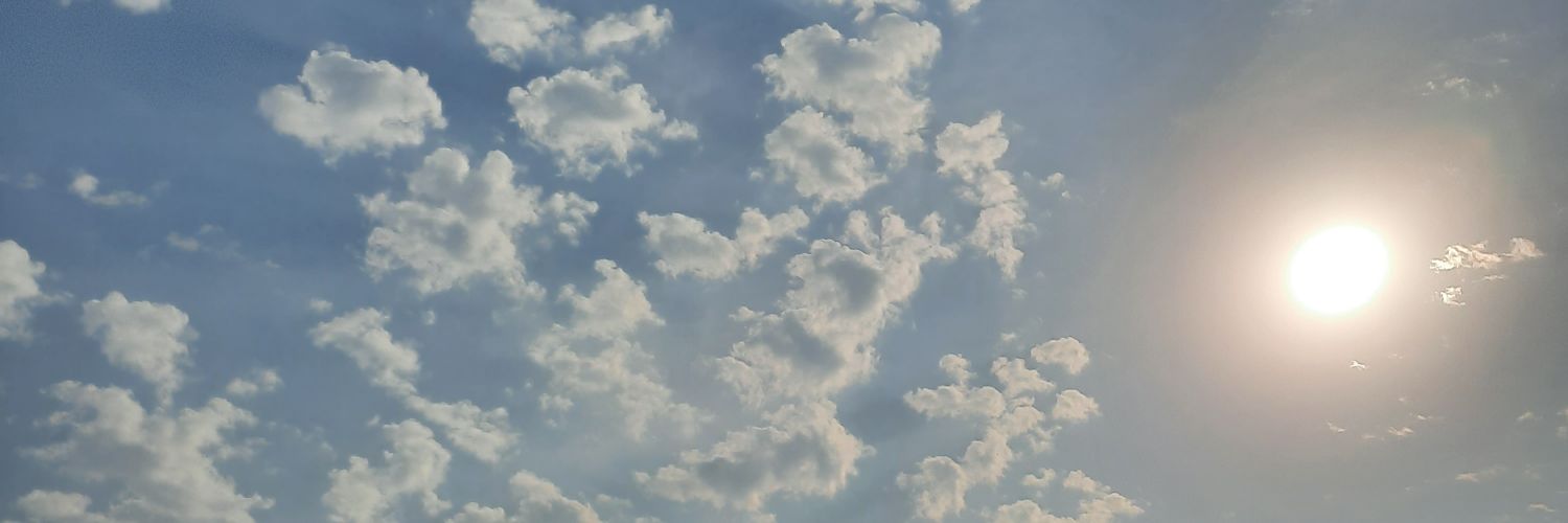 MicaPedrotti's profile banner image