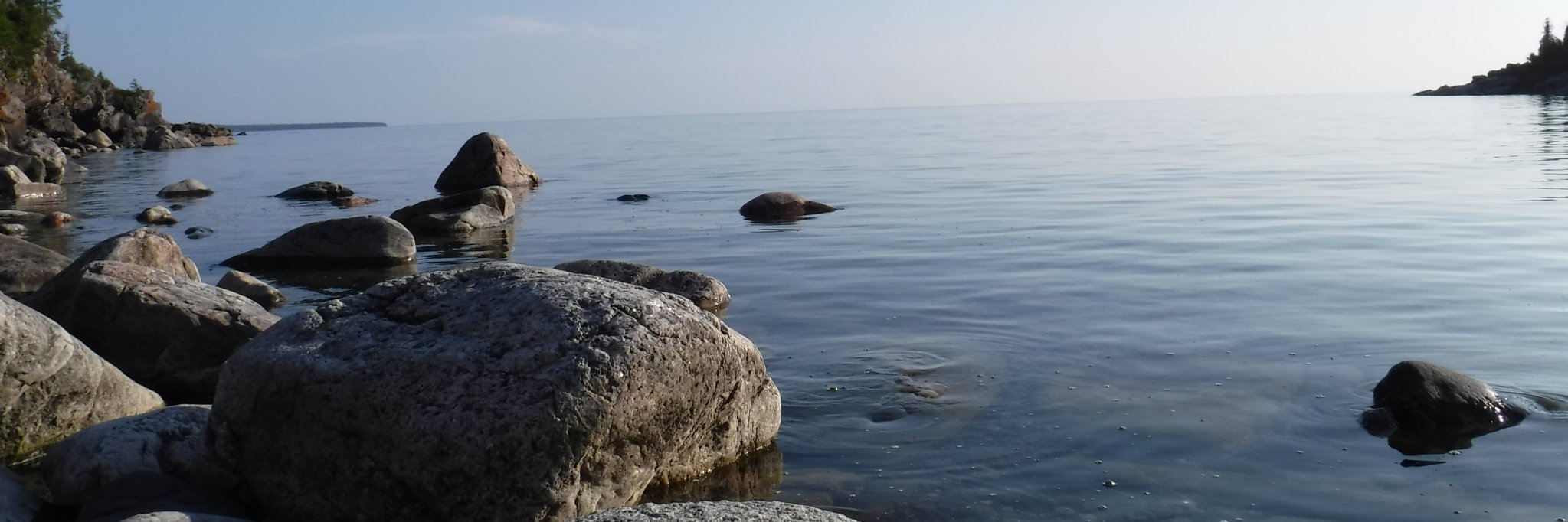 Theresa Warriner banner