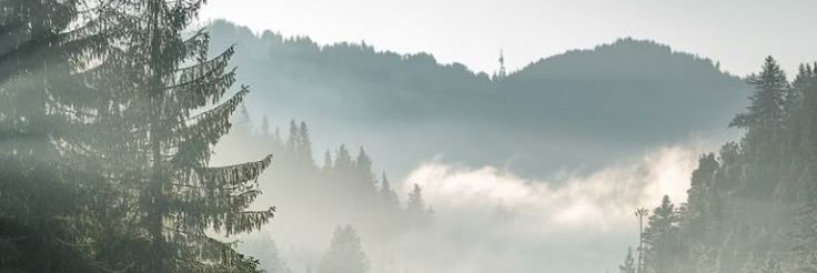 mcdeyb's profile banner image