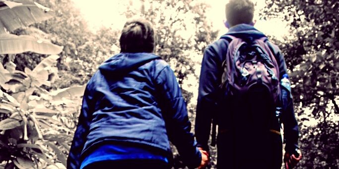 anisatyan's profile banner image