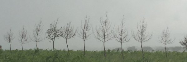 visoor Profile Banner