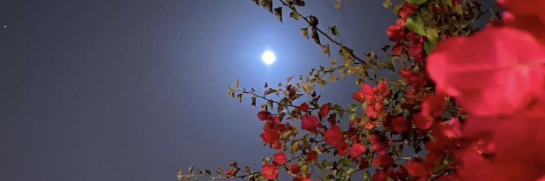 xcv_1ll's profile banner image