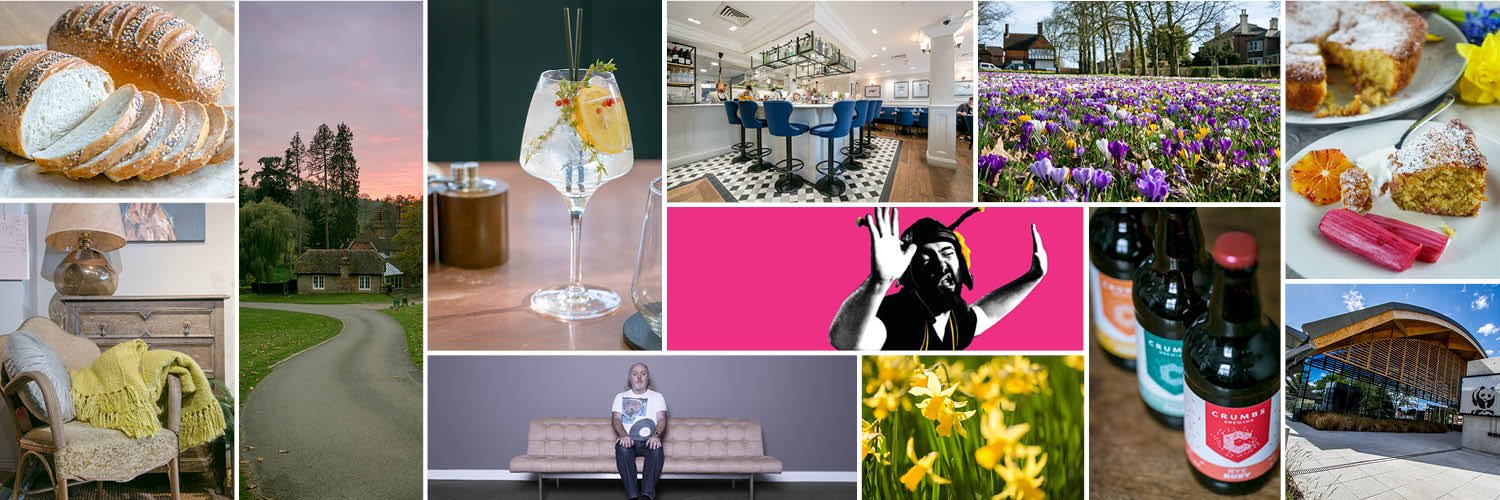 The Guide 2 Surrey banner