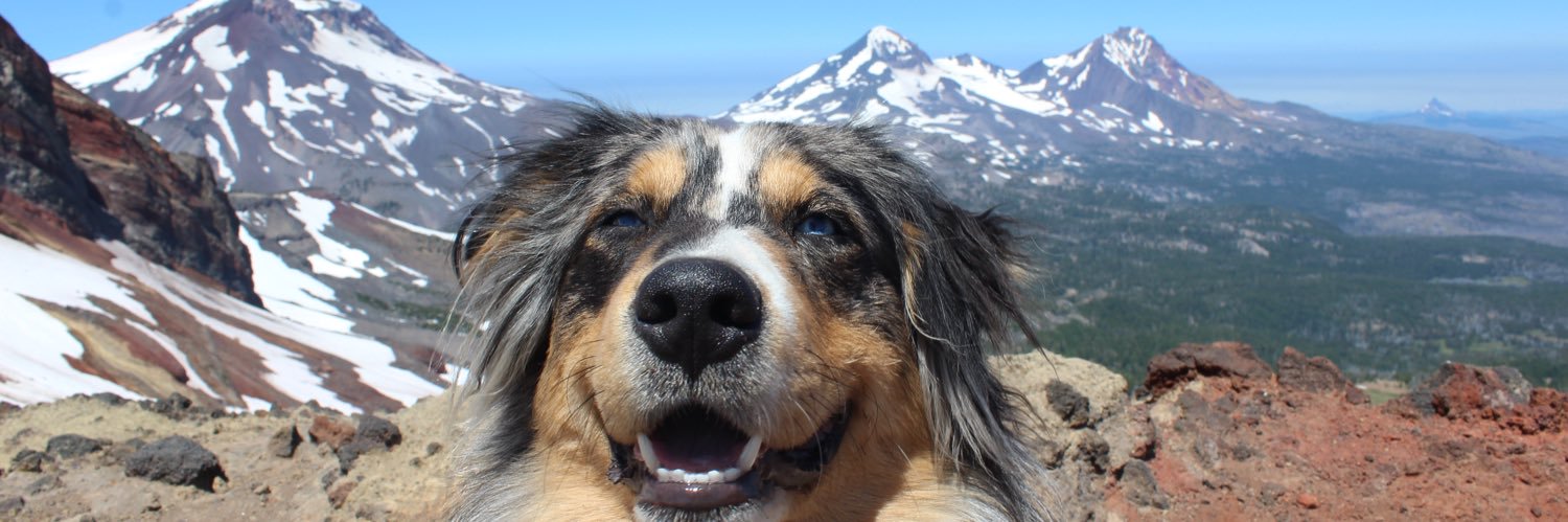 Irie Lee⭐️ banner