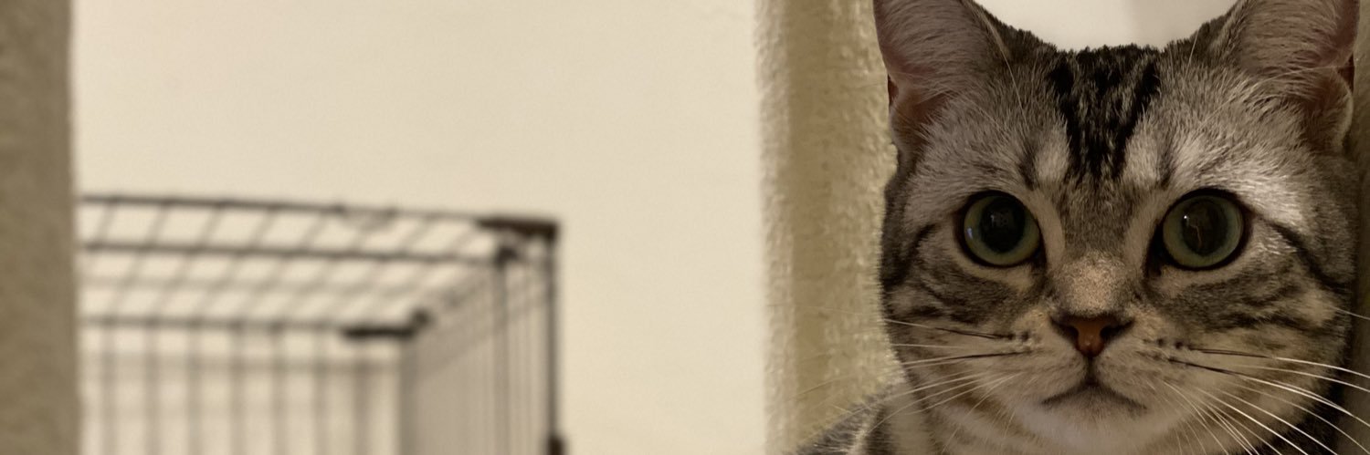 BIRDCENTMNK's profile banner image