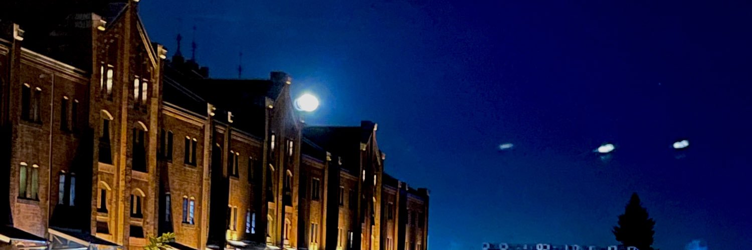 Furupontan's profile banner image
