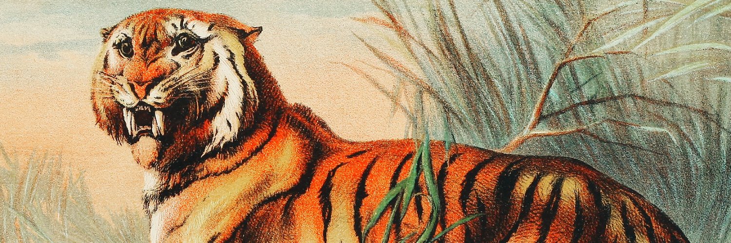 EstrucoGrey's profile banner image