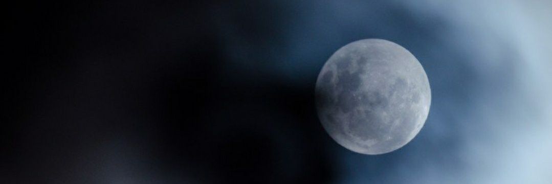 LOVEXALTED 🌐 banner