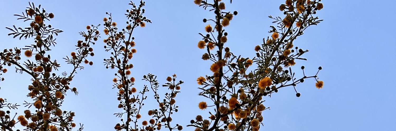 wjdan_rw's profile banner image
