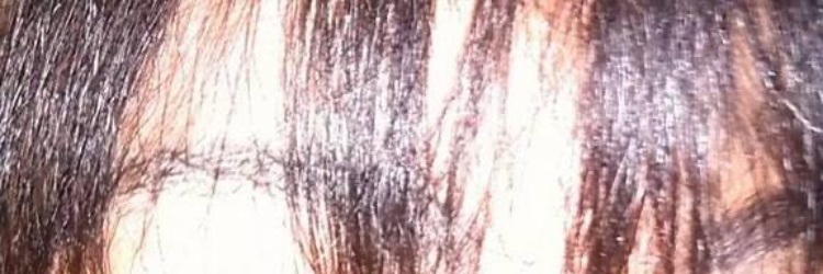 leonardvittini's profile banner image