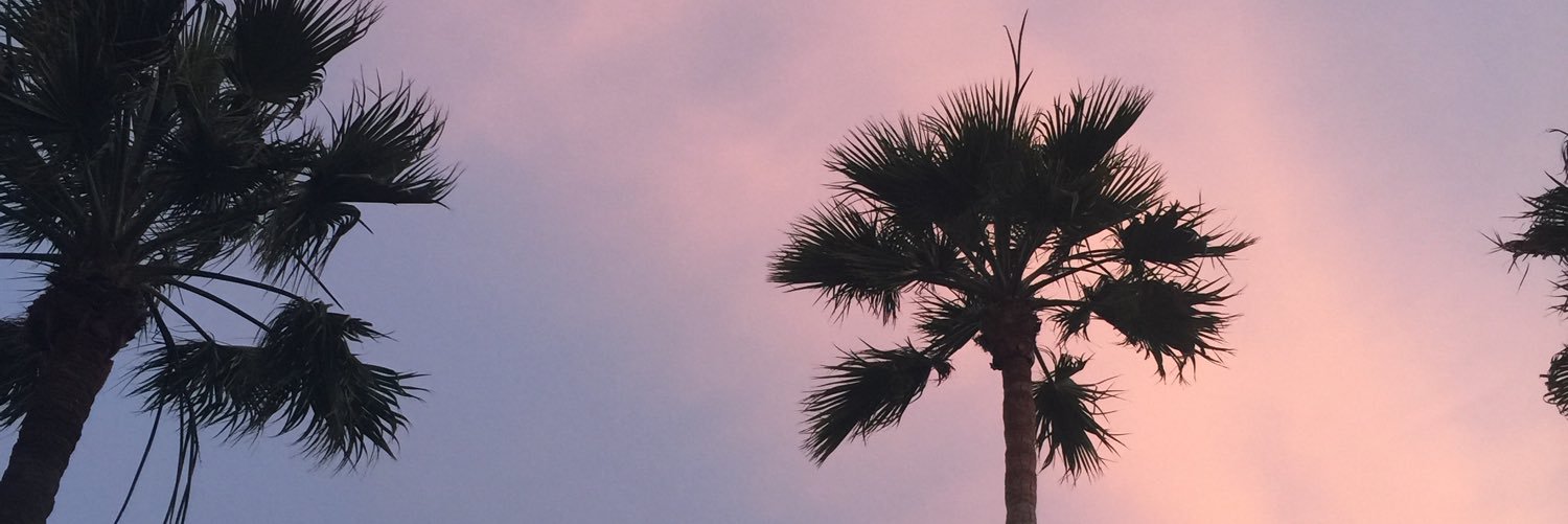 TheSarahCastro's profile banner image