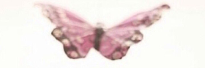 hlohdhd's profile banner image