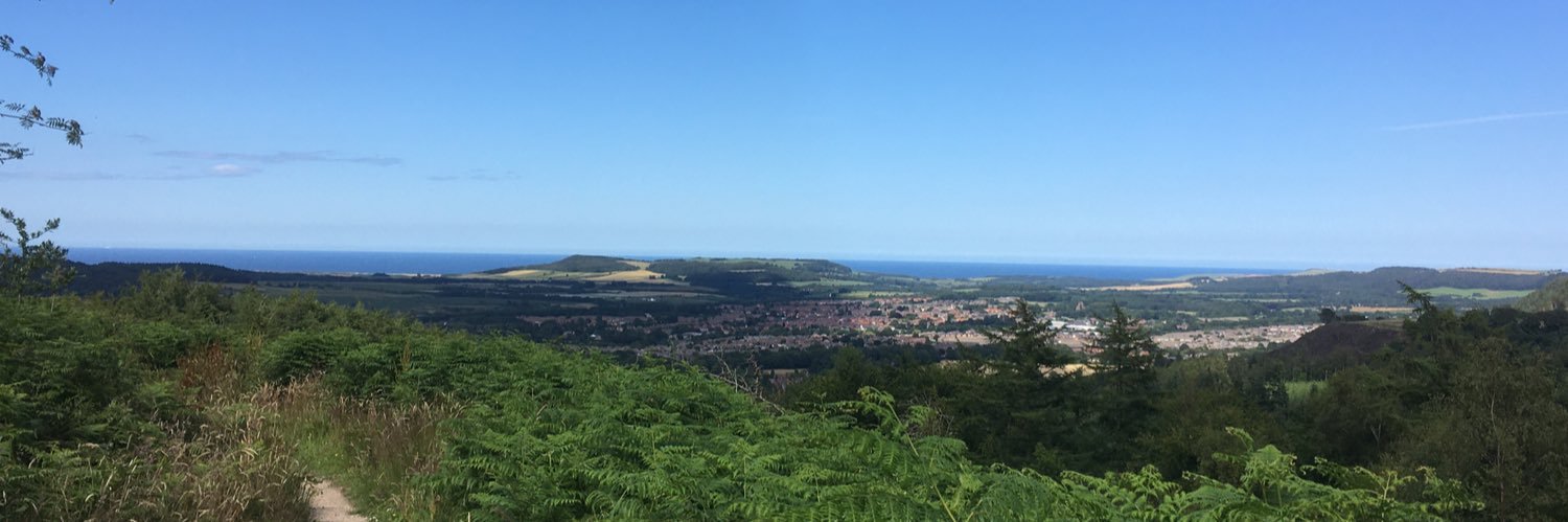 Rosina Robson banner