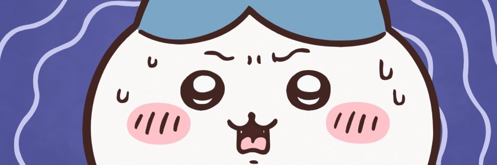 raina829's profile banner image