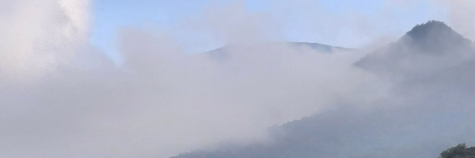 rofandri's profile banner image