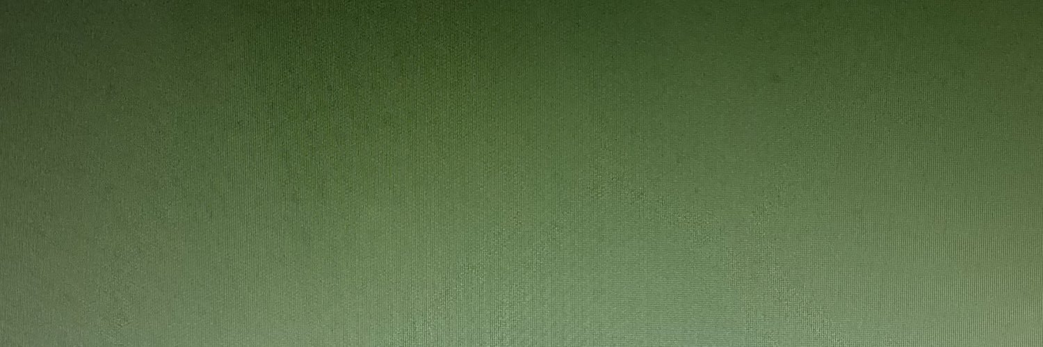 raaditri's profile banner image