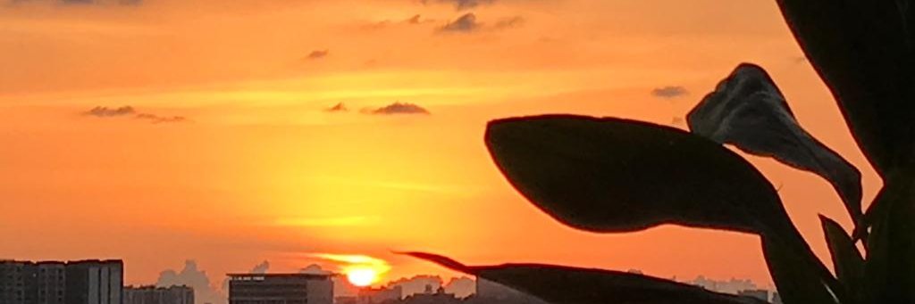 ChetanaGargava's profile banner image