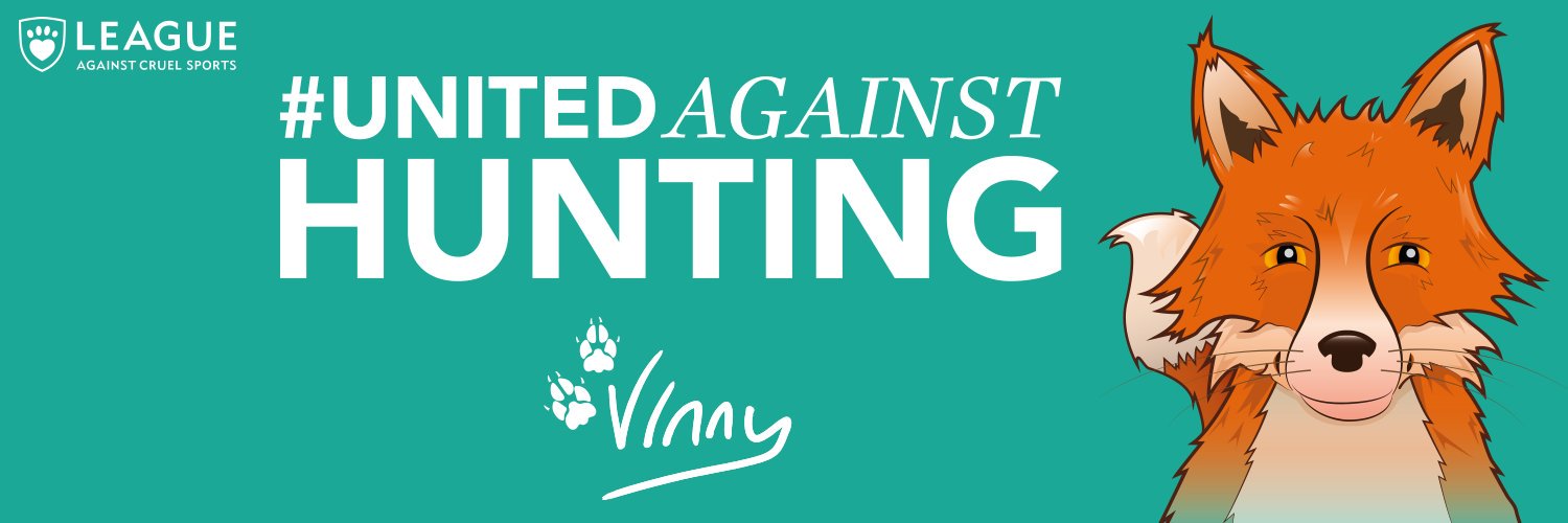 VoiceForVinny's profile banner image