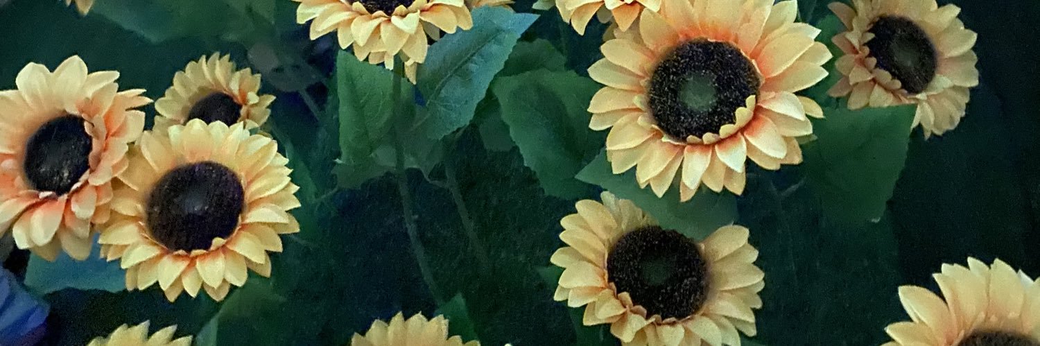 MayaaDeLaO's profile banner image